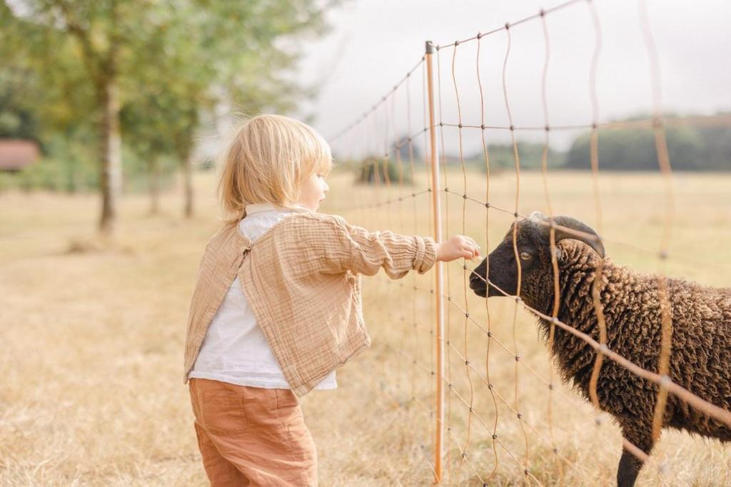 Готель Domaine De L'Oiseliere Chauche Екстер'єр фото